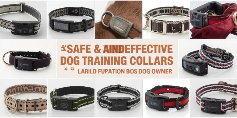 Best Dog Training Collars That Are Safe to Use